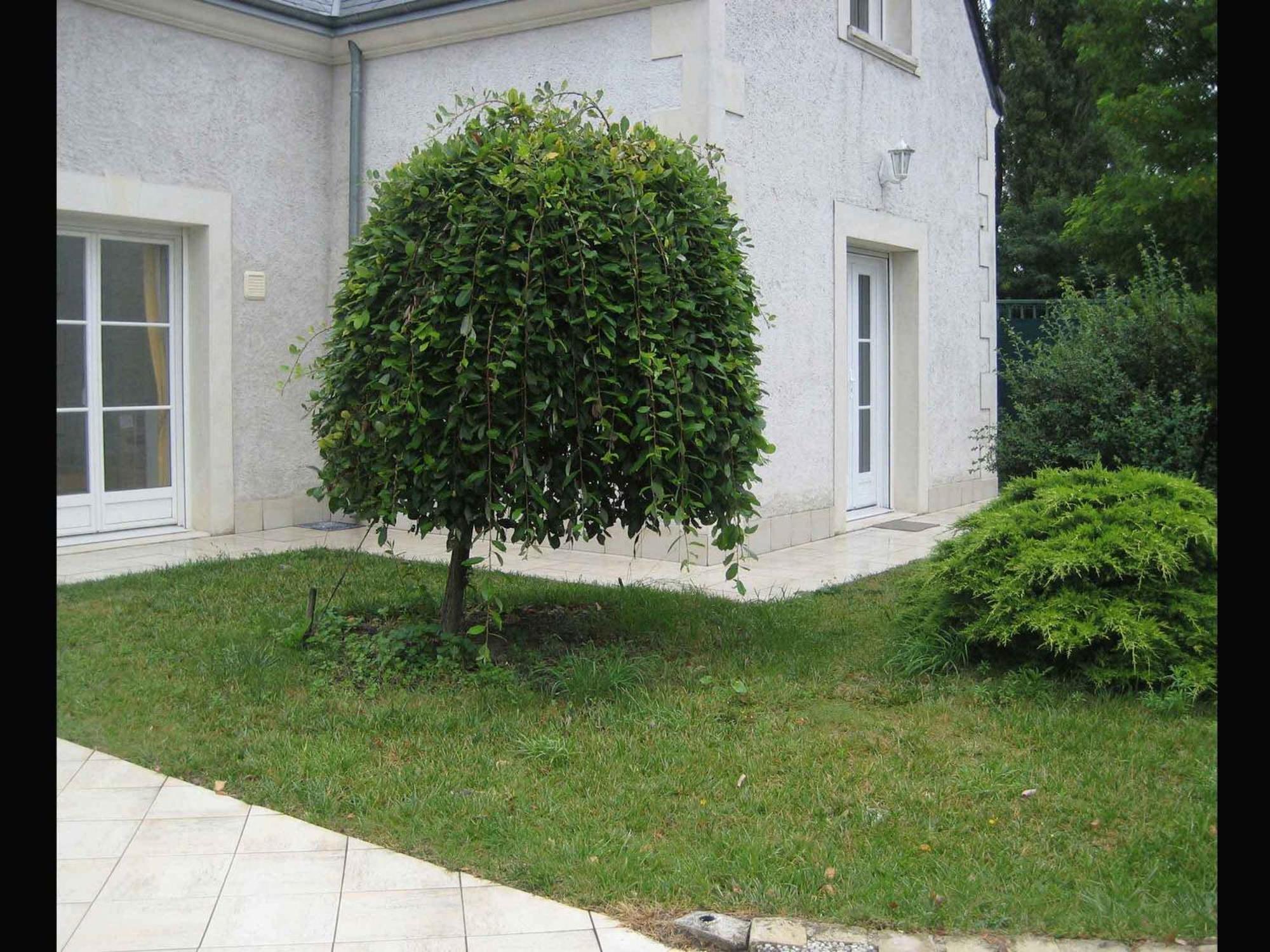 Les Agapanthes La Riche Apartamento Exterior foto